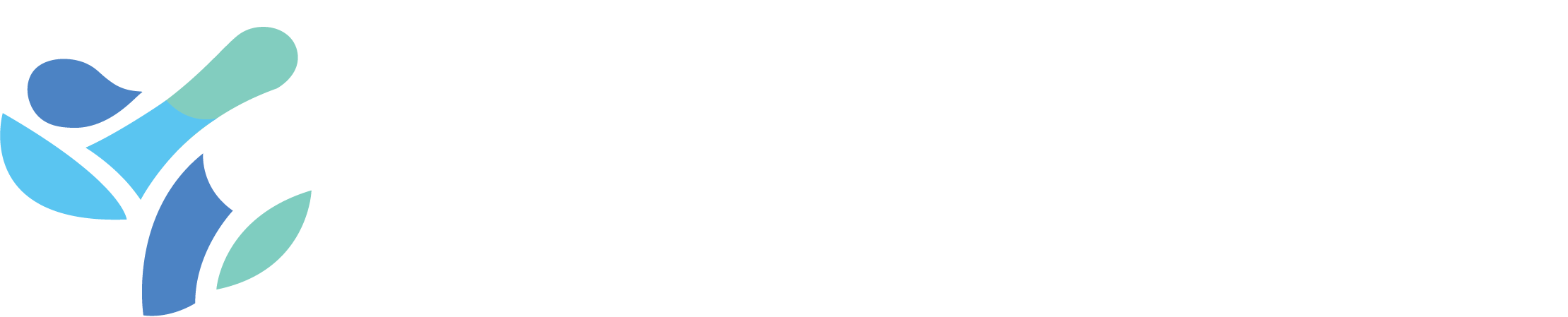 Sodalis Tampa | Logo
